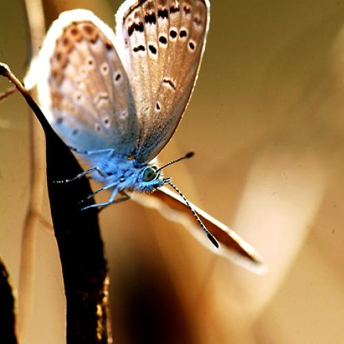 오늘 아침엔117-2탄