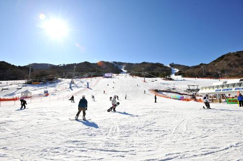 지금 무주에서는......