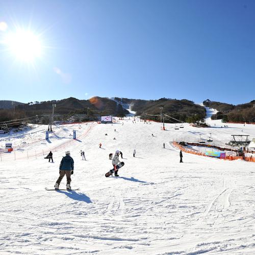 지금 무주에서는......