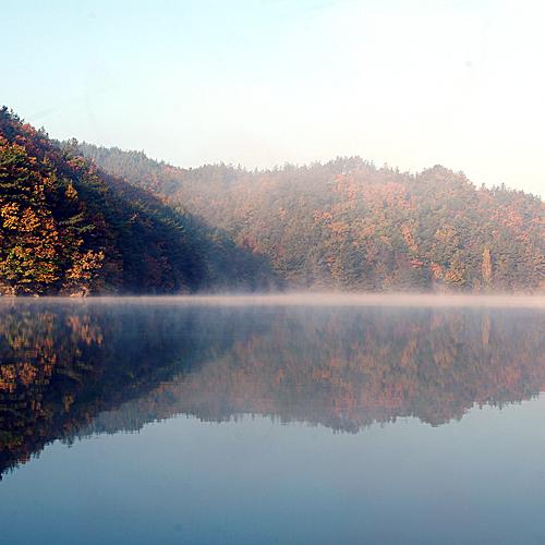 오늘 아침엔118탄