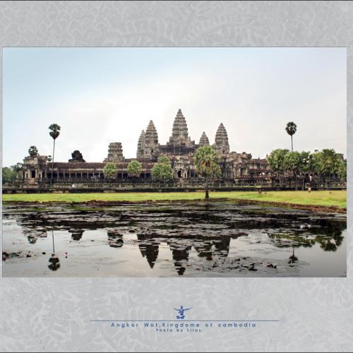 밀림속의 화려한 영광