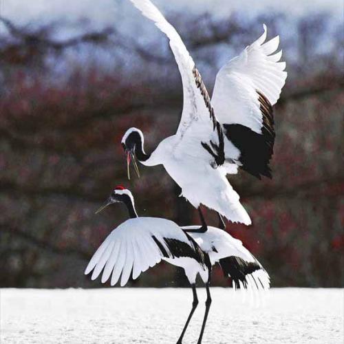 대한민국사진대전입선작