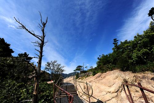 권금성가는길...