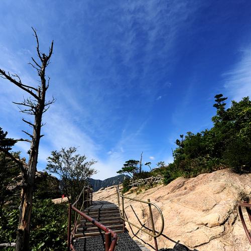 권금성가는길...