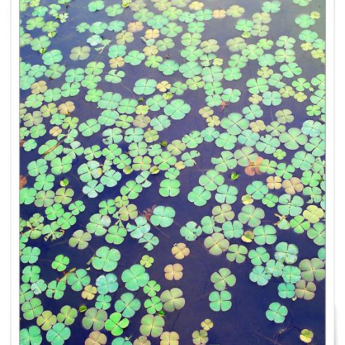 행운을 드립니다^_^