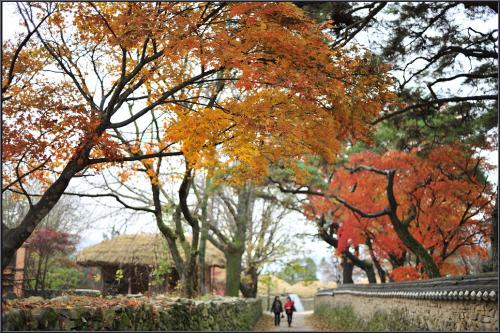 가을 깊은 날에