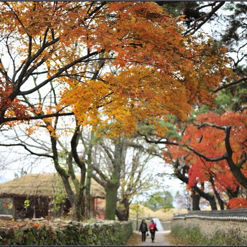 가을 깊은 날에