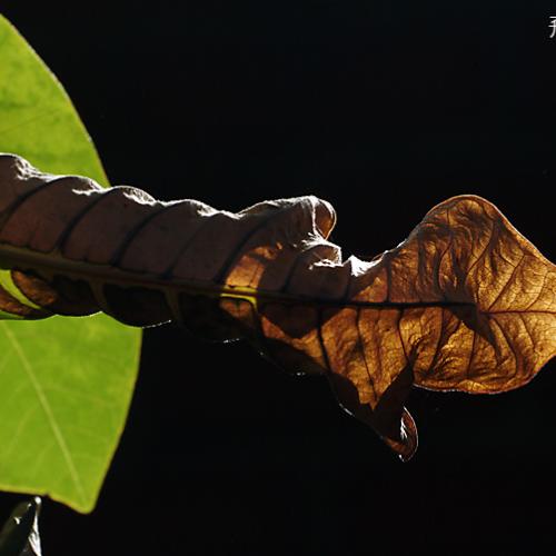 오늘 아침엔119탄(등교길에)