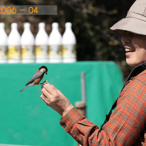 야생화 3년이면~ *