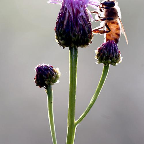 오늘 아침엔171탄