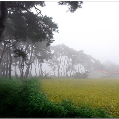 가을이 오는 새벽..