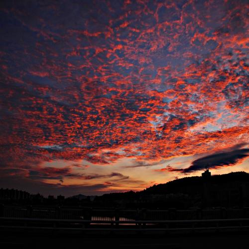 장마끝 행복시작