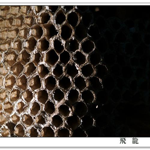 오늘 아침엔38탄