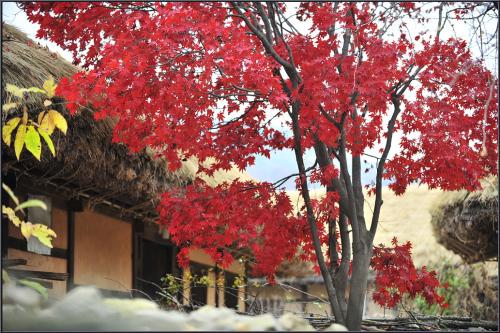 가을 한아름 안고...