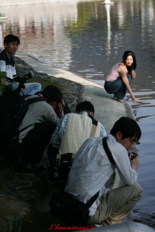 물가에 핀 꽃과 나비
