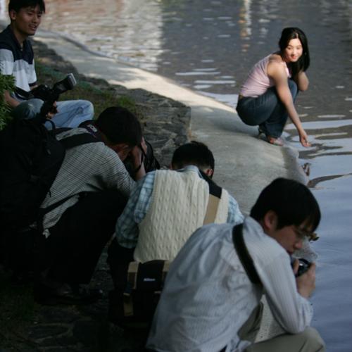 물가에 핀 꽃과 나비