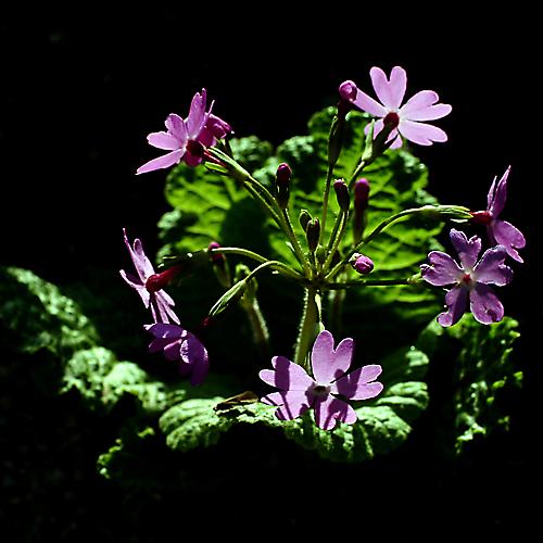 오늘 아침엔158-5탄