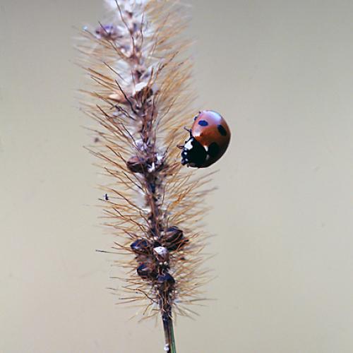 오늘 아침엔120탄(등교길에)