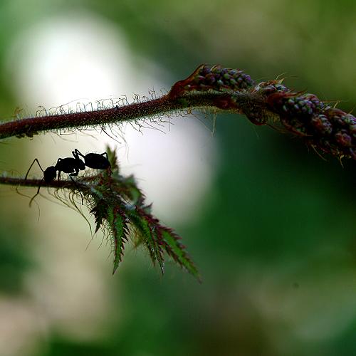 오늘아침엔 39-1탄