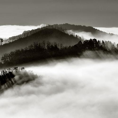 제4회 전시회 개인별 작품