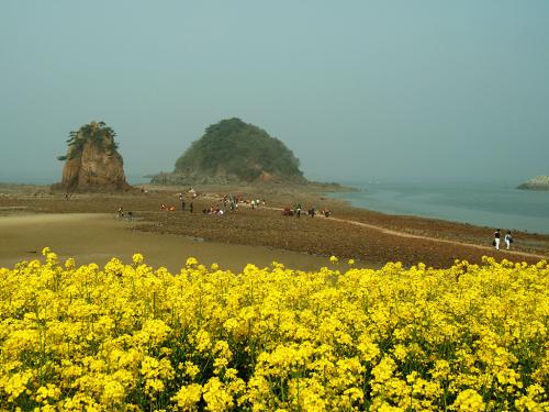 안면도 국제꽃박람회