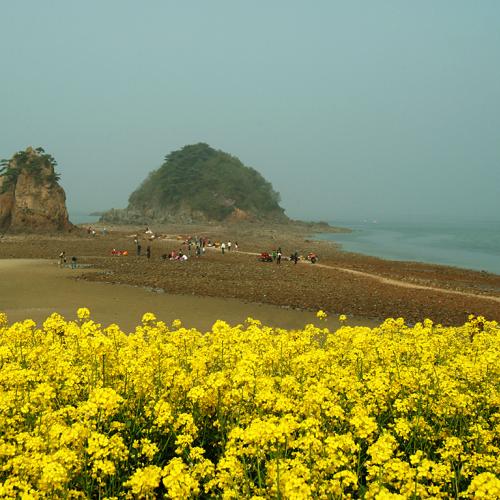 안면도 국제꽃박람회