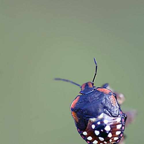 오늘 아침엔121탄