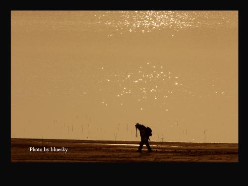 고독한 포토그래퍼