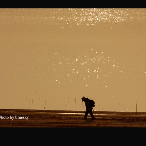 고독한 포토그래퍼