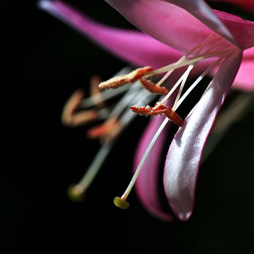 오늘아침엔 39-2탄