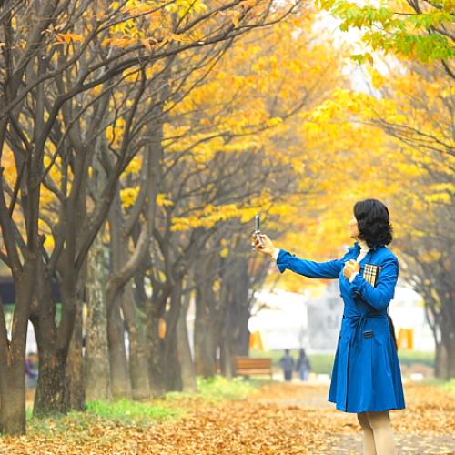 가을을 담는 분