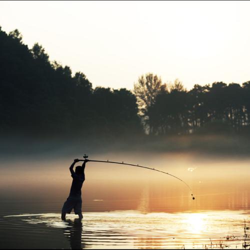 안개가 있는풍경중에서...(end)