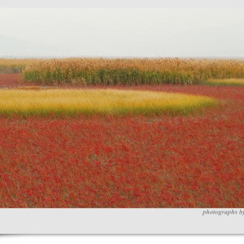 파스텔로 그린 그림