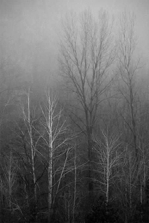 아침에 산책하다가