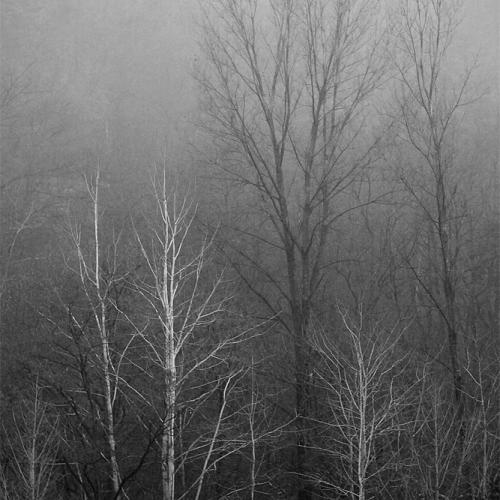 아침에 산책하다가