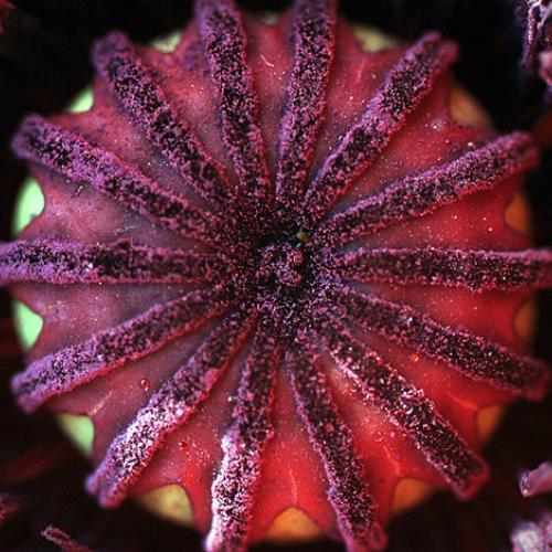 오늘 아침엔39-3탄