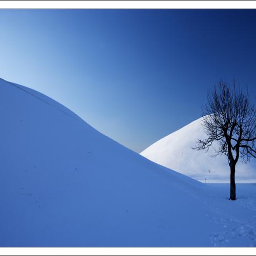 요번에 놀러 가서 찍은 사진...