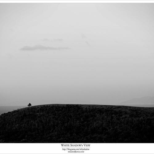 頓悟漸修(돈오점수)