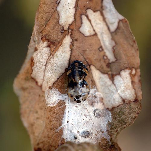 오늘 아침엔123탄(생과사)