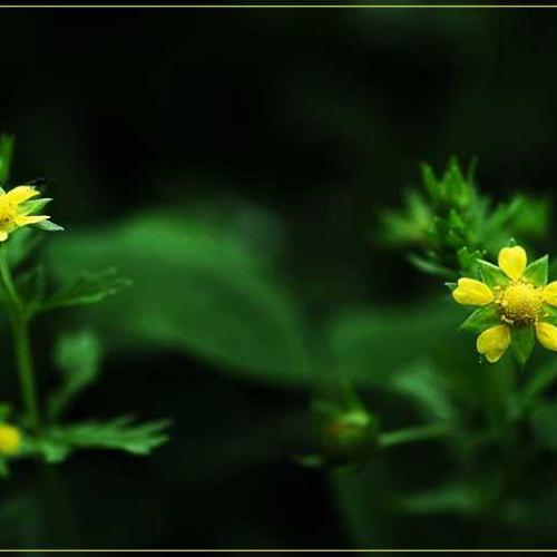 옥천 수복리에서
