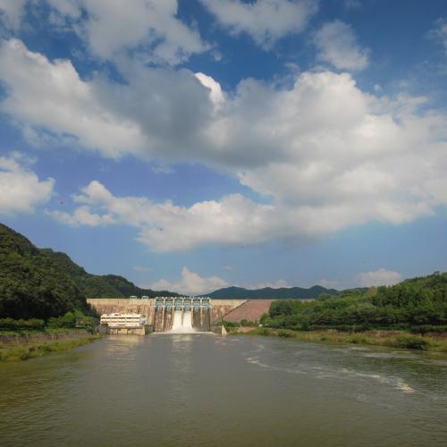 또 비온데요. 그래서...