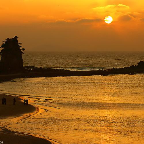 금빛 바닷물결이 꽃지를 물들이다