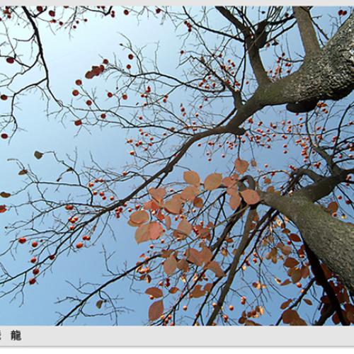 오늘 아침엔124탄(감)