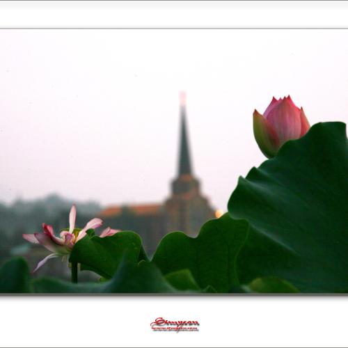 연이 있는 풍경