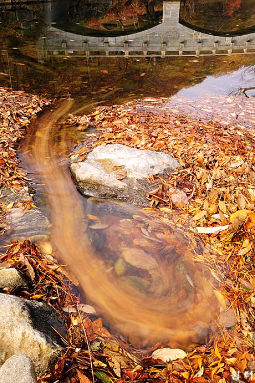 가을, 흘러가다...