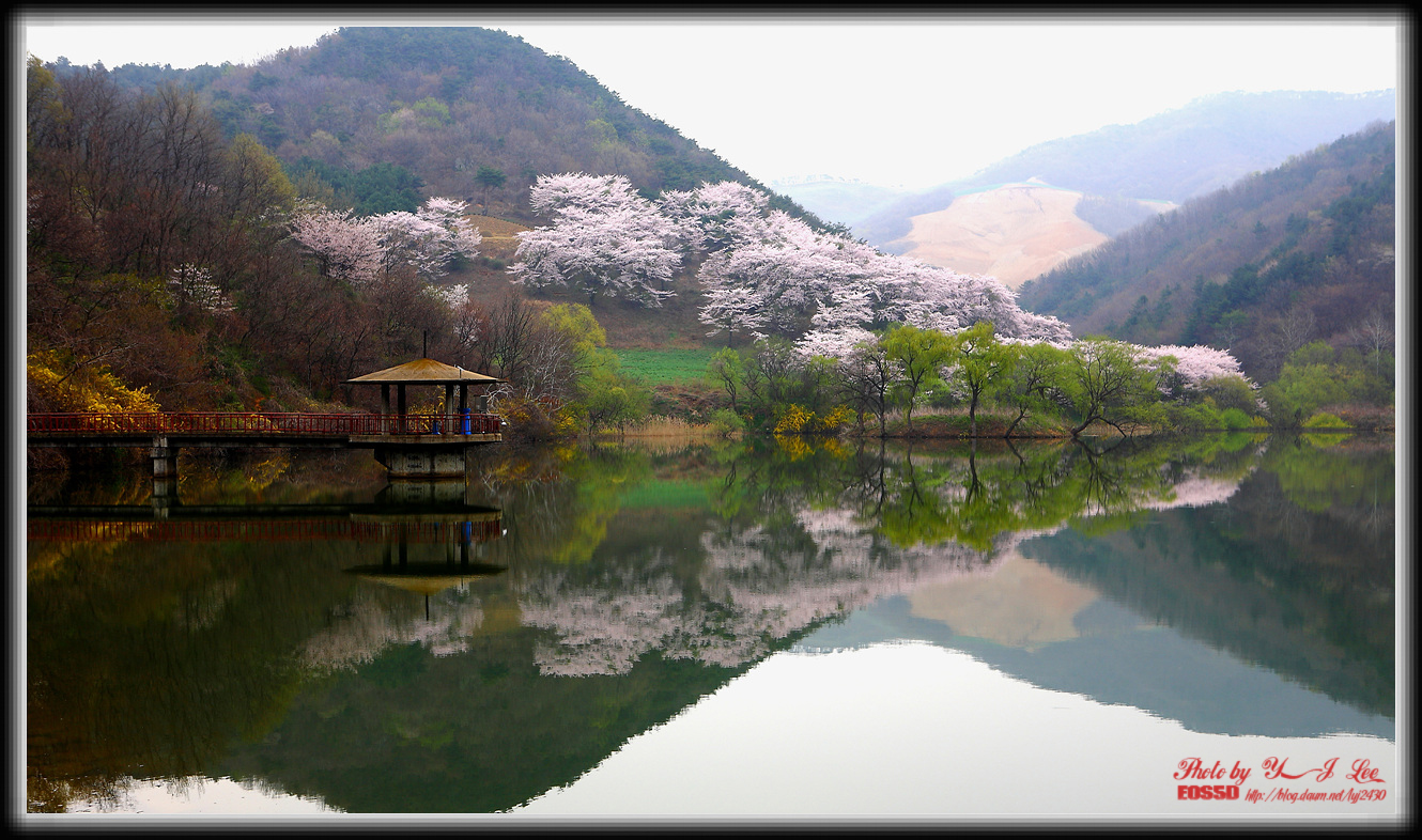 wongvigi-2010-04-21-054.jpg