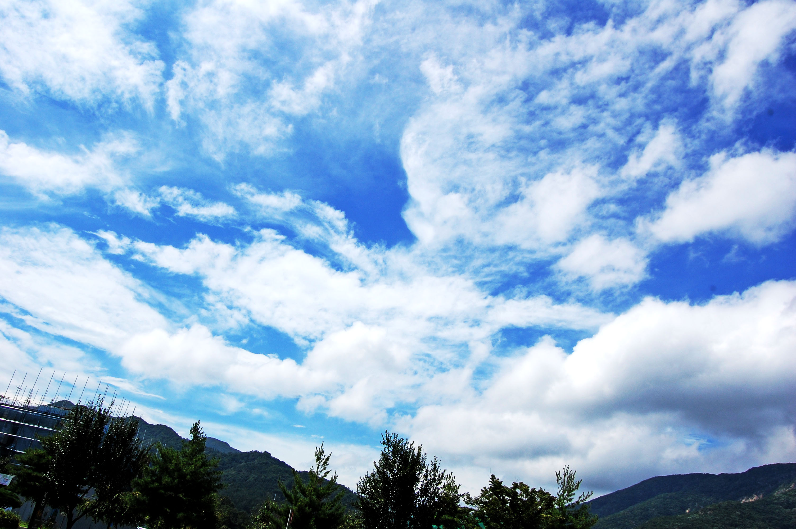 DSC_0119.jpg